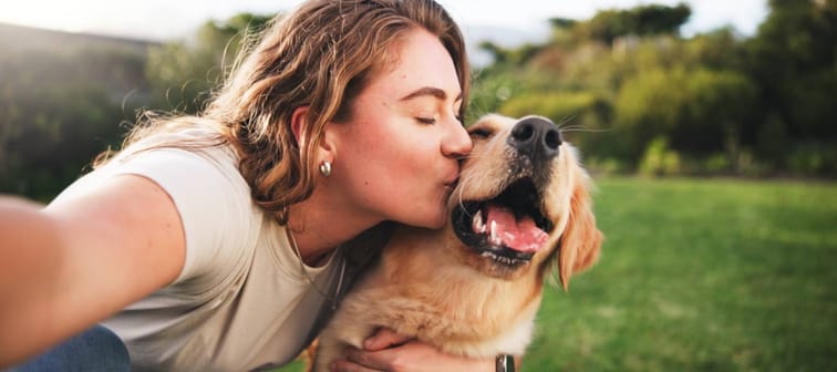 Dog ownership costs